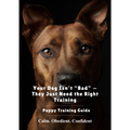 Your Dog Isn’t “Bad” — They Just Need the Right Training