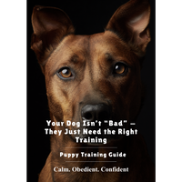 Your Dog Isn’t “Bad” — They Just Need the Right Training